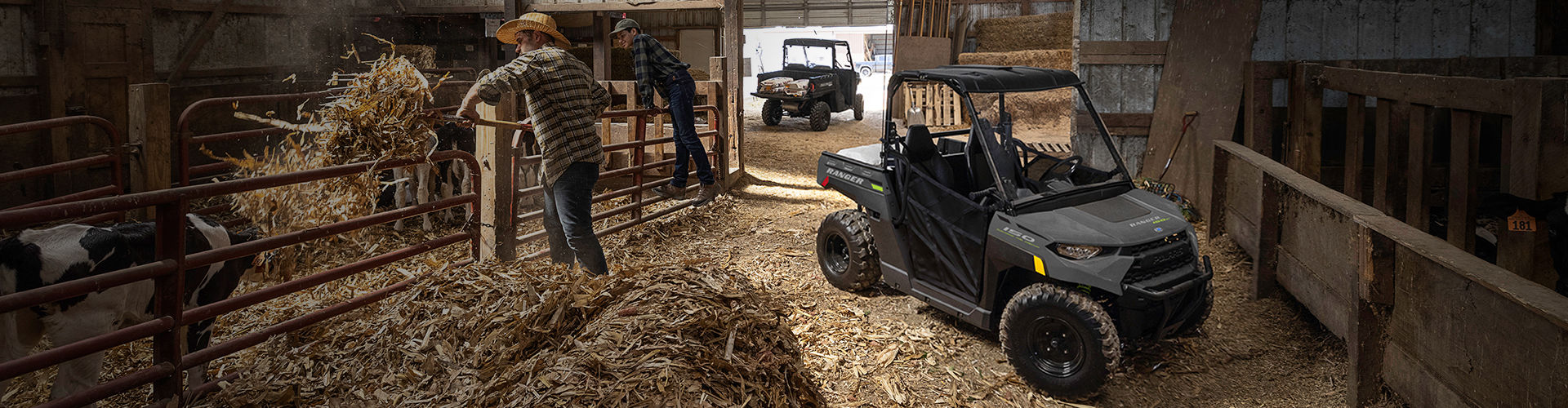 Ranger® 150 EFI